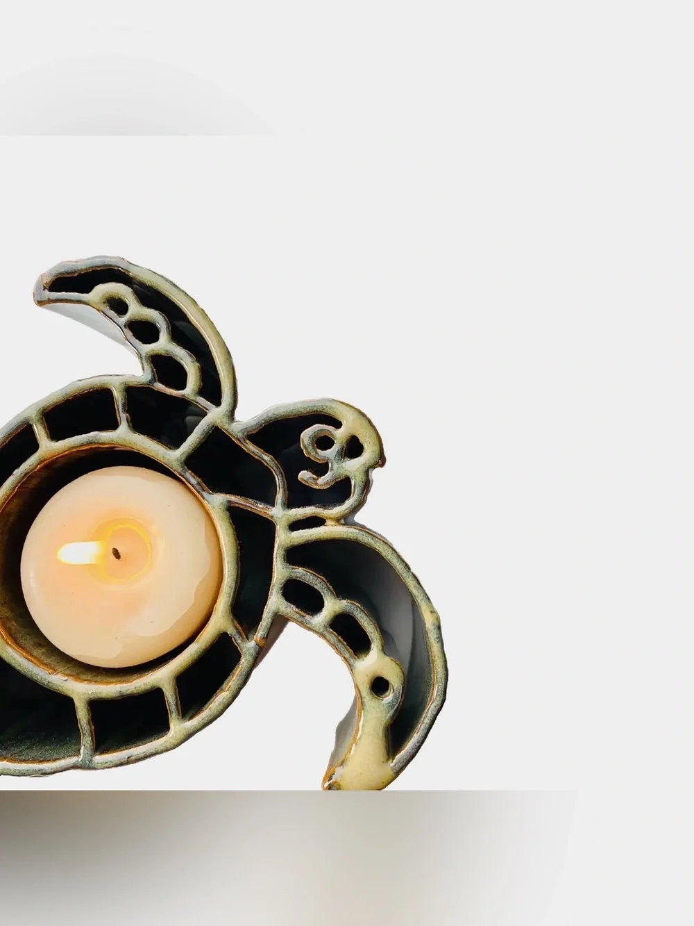 N/A charming turtle